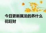 今日更新属龙的养什么花旺财