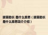 拔苗助长 是什么意思（拔苗助长是什么意思简介介绍）