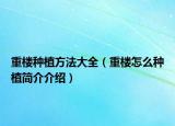 重楼种植方法大全（重楼怎么种植简介介绍）