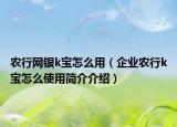农行网银k宝怎么用（企业农行k宝怎么使用简介介绍）