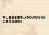 今日更新狗骨折了多久(狗狗骨折后多久能恢复)