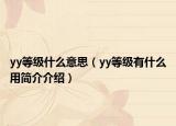 yy等级什么意思（yy等级有什么用简介介绍）