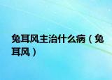 兔耳风主治什么病（兔耳风）