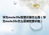 华为mate20x智慧识屏怎么用（华为mate20x怎么使用智慧识物）