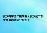 武汉有哪些二级学院（武汉的二类大学有哪些简介介绍）
