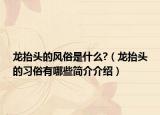 龙抬头的风俗是什么?（龙抬头的习俗有哪些简介介绍）