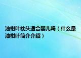 油柑叶枕头适合婴儿吗（什么是油柑叶简介介绍）