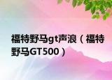 福特野马gt声浪（福特野马GT500）