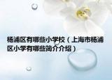 杨浦区有哪些小学校（上海市杨浦区小学有哪些简介介绍）