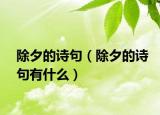 除夕的诗句（除夕的诗句有什么）