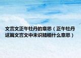文言文正午牡丹的意思（正午牡丹这篇文言文中未识精粗什么意思）