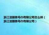 浙江洁丽雅毛巾有限公司怎么样（浙江洁丽雅毛巾有限公司）