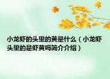 小龙虾的头里的黄是什么（小龙虾头里的是虾黄吗简介介绍）