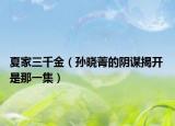 夏家三千金（孙晓菁的阴谋揭开 是那一集）