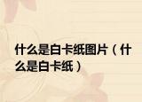 什么是白卡纸图片（什么是白卡纸）
