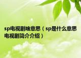 sp电视剧啥意思（sp是什么意思电视剧简介介绍）