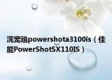 浣宠兘powershota3100is（佳能PowerShotSX110IS）