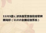 11315鍏ㄥ浗浼佷笟寰佷俊绯荤粺鐧诲綍（11315全国征信系统）
