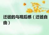 迁徙的鸟观后感（迁徙自由）
