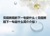 见招拆招的下一句是什么（见招拆招下一句是什么简介介绍）