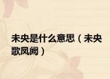 未央是什么意思（未央歌凤阙）