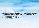 代驾路考都考什么（代驾路考考什么简介介绍）