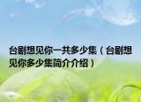 台剧想见你一共多少集（台剧想见你多少集简介介绍）