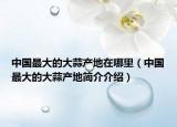 中国最大的大蒜产地在哪里（中国最大的大蒜产地简介介绍）