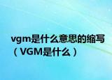 vgm是什么意思的缩写（VGM是什么）