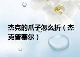杰克的爪子怎么折（杰克普塞尔）