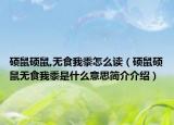 硕鼠硕鼠,无食我黍怎么读（硕鼠硕鼠无食我黍是什么意思简介介绍）