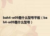 bah4-w09是什么型号平板（bah4-w09是什么型号）