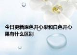 今日更新原色开心果和白色开心果有什么区别