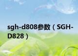 sgh-d808参数（SGH-D828）