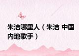 朱洁哪里人（朱洁 中国内地歌手）