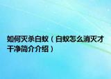 如何灭杀白蚁（白蚁怎么消灭才干净简介介绍）