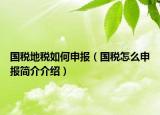 国税地税如何申报（国税怎么申报简介介绍）