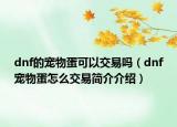 dnf的宠物蛋可以交易吗（dnf宠物蛋怎么交易简介介绍）