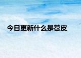 今日更新什么是苕皮