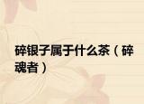 碎银子属于什么茶（碎魂者）
