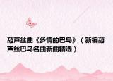 葫芦丝曲《多情的巴乌》（新编葫芦丝巴乌名曲新曲精选）