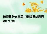 鸹貔是什么意思（鸹貔是啥意思简介介绍）