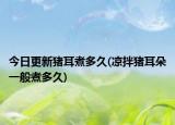 今日更新猪耳煮多久(凉拌猪耳朵一般煮多久)