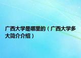 广西大学是哪里的（广西大学多大简介介绍）