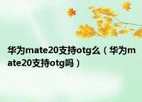 华为mate20支持otg么（华为mate20支持otg吗）