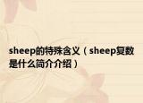 sheep的特殊含义（sheep复数是什么简介介绍）