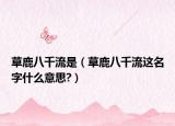 草鹿八千流是（草鹿八千流这名字什么意思?）