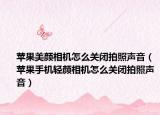 苹果美颜相机怎么关闭拍照声音（苹果手机轻颜相机怎么关闭拍照声音）