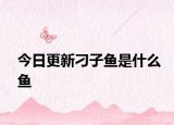 今日更新刁子鱼是什么鱼