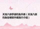 天龙八部手游钓鱼升级（天龙八部钓鱼在哪里升级简介介绍）